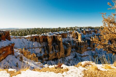 Wide angle view of Bryce Canyon National Park at Sunrise, Colorado, USA.の写真素材