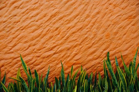 Golden orange seamless venetian plaster background grunge stone texture. Gold grunge texture. Golden...