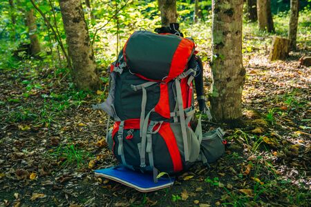 Tourist backpack is standing by a tree in the forest. Concept of a hiking trip to the forest or...