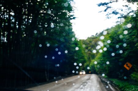 Summer road through the forest.の写真素材