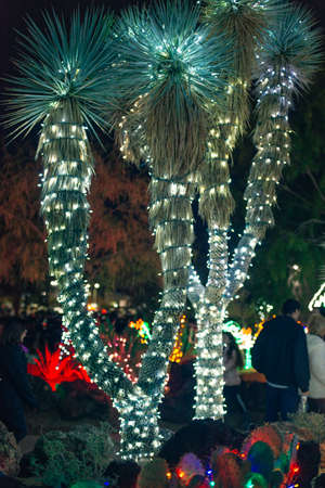 Botanical Cactus Garden las vegas. - dec, 2019 Colorful light display of cactus.のeditorial素材