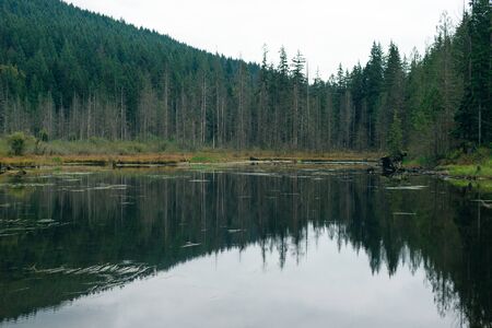 Alouette Lake in the Golden Ears Provincial Park, British Columbia, Canada.の写真素材