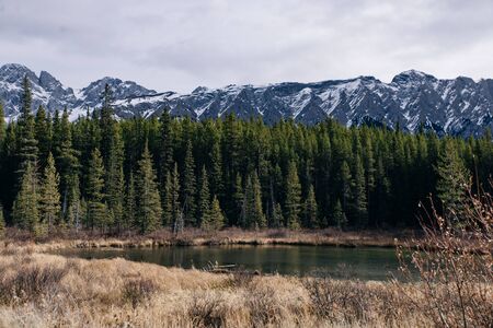 Serene sunrise at the Spray Lakes Reservoir is a reservoir in Alberta, Canadaの写真素材