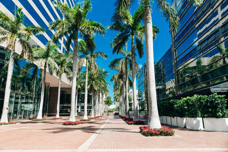 MIAMI, USA - MARCH 31, 2020 Empty streets of Miami Downtown.のeditorial素材