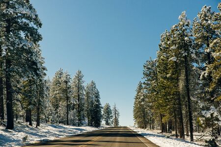 Snowy winter road. Winter fairy tale. Ride on a winter roadの写真素材