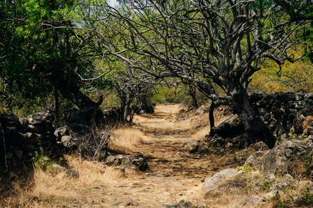 Hiking track Camino Real from Barichara to Guane in Colombiaの写真素材