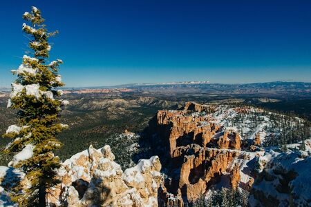 Rainbow Point in bryce national park.の写真素材