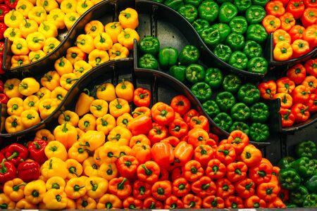 Piles of bell peppers organized at the counter of a supermarket or grocery store. Green, red, orange and yellow bell peppers for sale.の写真素材