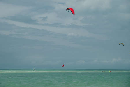 mexico, island holbox - february 2020 Kite surfing at holbox island in the caribbean sea.のeditorial素材