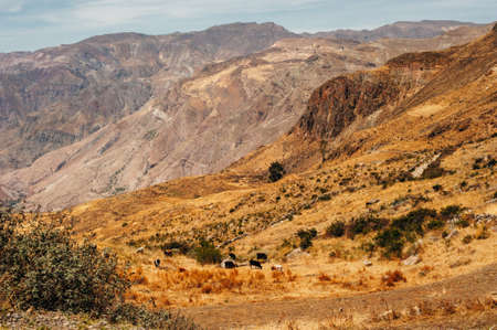 Picturesque mountains in Peru. Highlands of Peru, valley Kolkaの写真素材