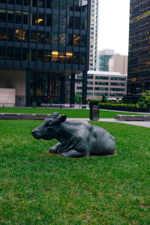 Toronto, Canada - november, 2019 A small park featuring a number of statues of cows laying in the grass, situated in the Financial District .のeditorial素材