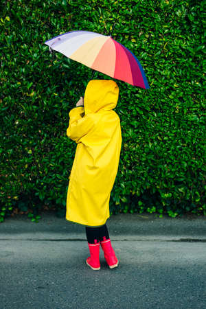 girl in a yellow raincoat on a background of a wall with grass with a multi-colored umbrellaの写真素材