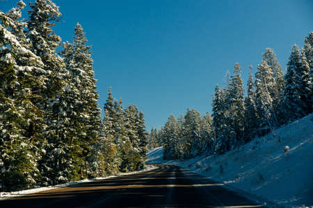 Snowy winter road. Winter fairy tale. Ride on a winter roadの写真素材