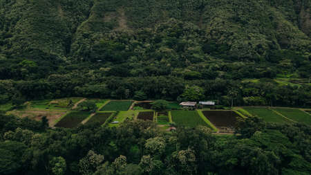 Aerial view of the Waipio Valley on the Big Island of Hawaii with its beautiful waterfalls shrouded in fog and clouds.の写真素材