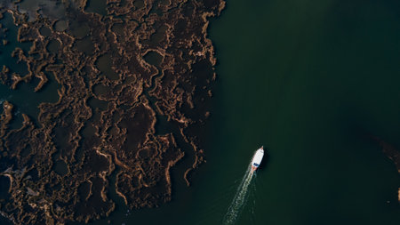 iztuzu Beach near Dalyan, in the Ortaca district of the Province of Mugla in southwestern Turkey. High quality photoの写真素材