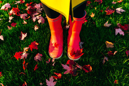 Rainy autumn. Rubber pink boots against. Conceptual image of legs in boots on green grassの素材 [FY310168800105]