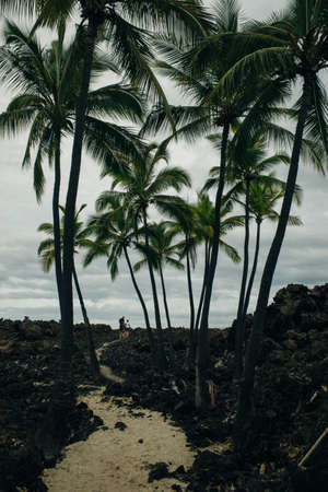 Mahaiula Beach on Big Island in hawaii. High quality photoの写真素材