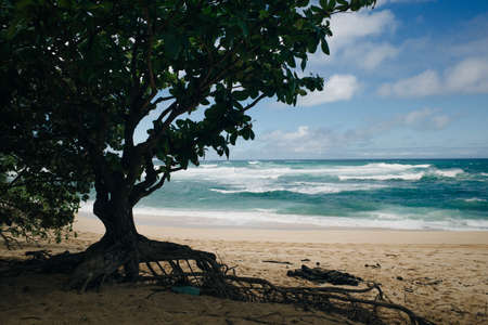 banzai pipeline on the north shore of the island of Oahu, Hawaii. High quality photoの写真素材