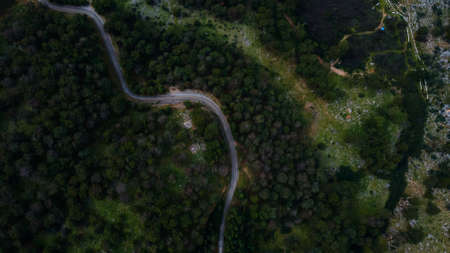 Aerial top view of country road in green summer forest. High quality photoの写真素材