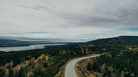 aerial view of road between Christmas trees in Denali national parkの写真素材