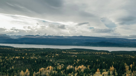 aerial view of Denali national parkの写真素材