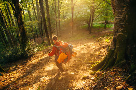 tourists descend from the slope through the forest. High quality photoのeditorial素材