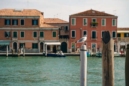 Street canal in Murano island, Venice, italy - nov, 2021. High quality photoのeditorial素材