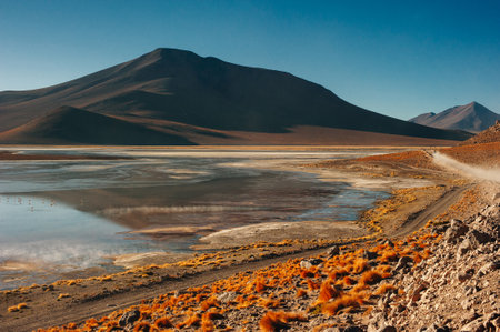 Beautiful landscape in the reserva nacional los flamencos.の写真素材