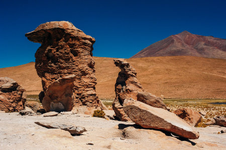 Beautiful landscape in the reserva nacional los flamencos.の写真素材