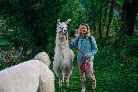 girl with a llama in the forest, italy. High quality photoの写真素材