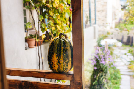 pumpkin on the porch. High quality photoの写真素材