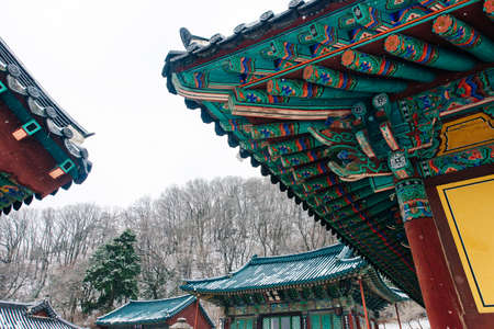 The building of Buddhist Sinheungsa Temple in Seoraksan National Park, South korea.のeditorial素材