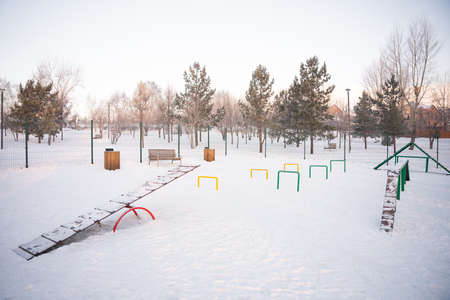 winter playground for dogs. high quality photoの写真素材
