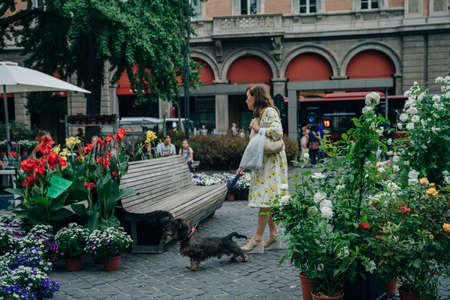 Narrow street in Florence, Tuscany, Italy. Architecture and landmark of Florence. Cozy Florence cityscape. high quality photoのeditorial素材
