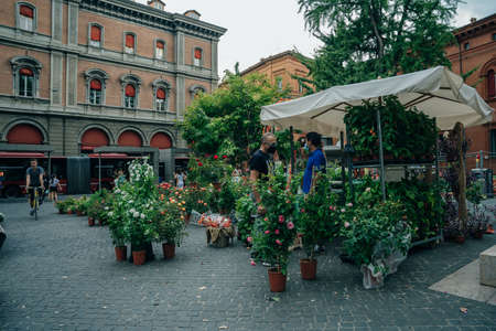 Narrow street in Florence, Tuscany, Italy. Architecture and landmark of Florence. Cozy Florence cityscape. high quality photoのeditorial素材