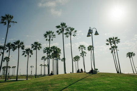 Venice Beach, Los Angeles, USA - Sep, 2022. High quality photoのeditorial素材