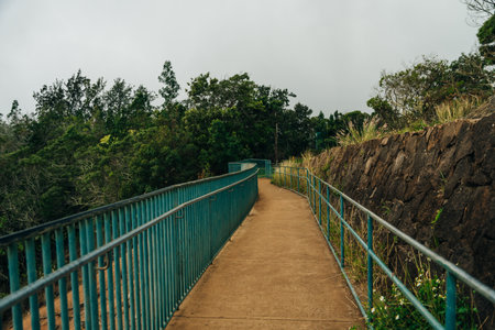Canyon Lookout is a poplar area for visitors to Kauais colorful canyon. kauai, hawaii - sep 2022