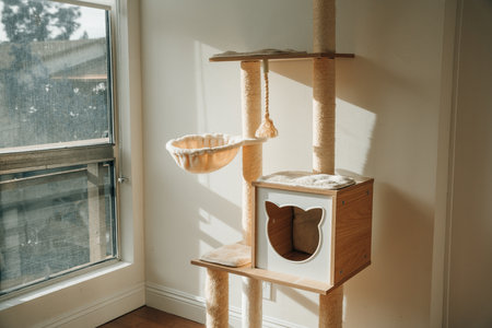 wooden cat tree in modern house. A cat tree is an artificial structure for a cat to play.の写真素材