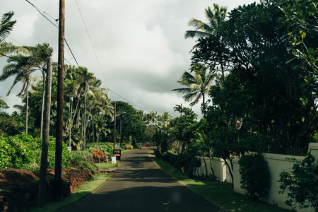 beautiful road through the nature of kauai, hawaii. high quality photoの写真素材