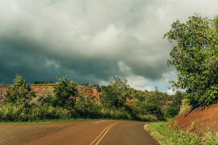 beautiful road through the nature of kauai, hawaii. high quality photoの写真素材