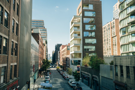 Manhattan, New York City - June 2022 The High Line Park in Manhattan New York. high quality photoのeditorial素材