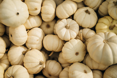 Decorative yellow pumpkins on display at the farmers market. high quality photoの写真素材