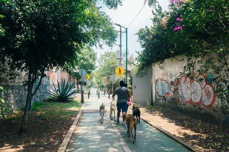 cycle path from mexico city to tepoztlan. high quality photoのeditorial素材