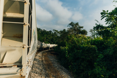 The freight train passes by the forest. Wagons with goods delivery. High quality photoの写真素材