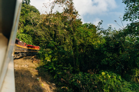 The freight train passes by the forest. Wagons with goods delivery. High quality photoの写真素材