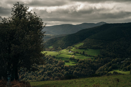 beautiful view of meadows and mountains at dawn north spain. High quality photo