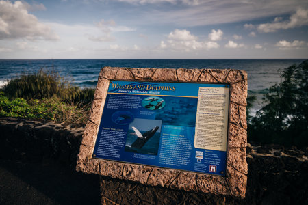 Kaiakea Point at Kapaa on Kauai Island in Hawaii. High quality photoのeditorial素材