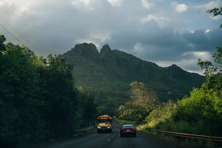 Highway through a lush tropical forest in kauai, hawaii. High quality photoのeditorial素材