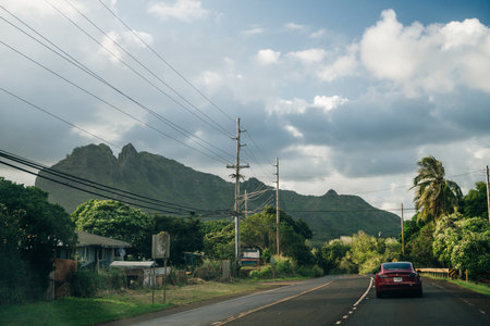 Highway through a lush tropical forest in kauai, hawaii. High quality photoのeditorial素材