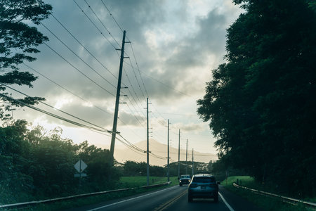 Highway through a lush tropical forest in kauai, hawaii. high quality photoのeditorial素材